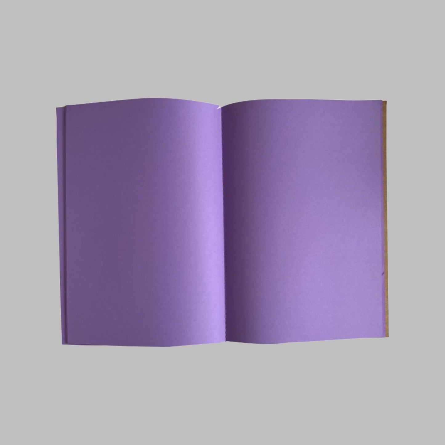 Vibrant Series - Purple Colour