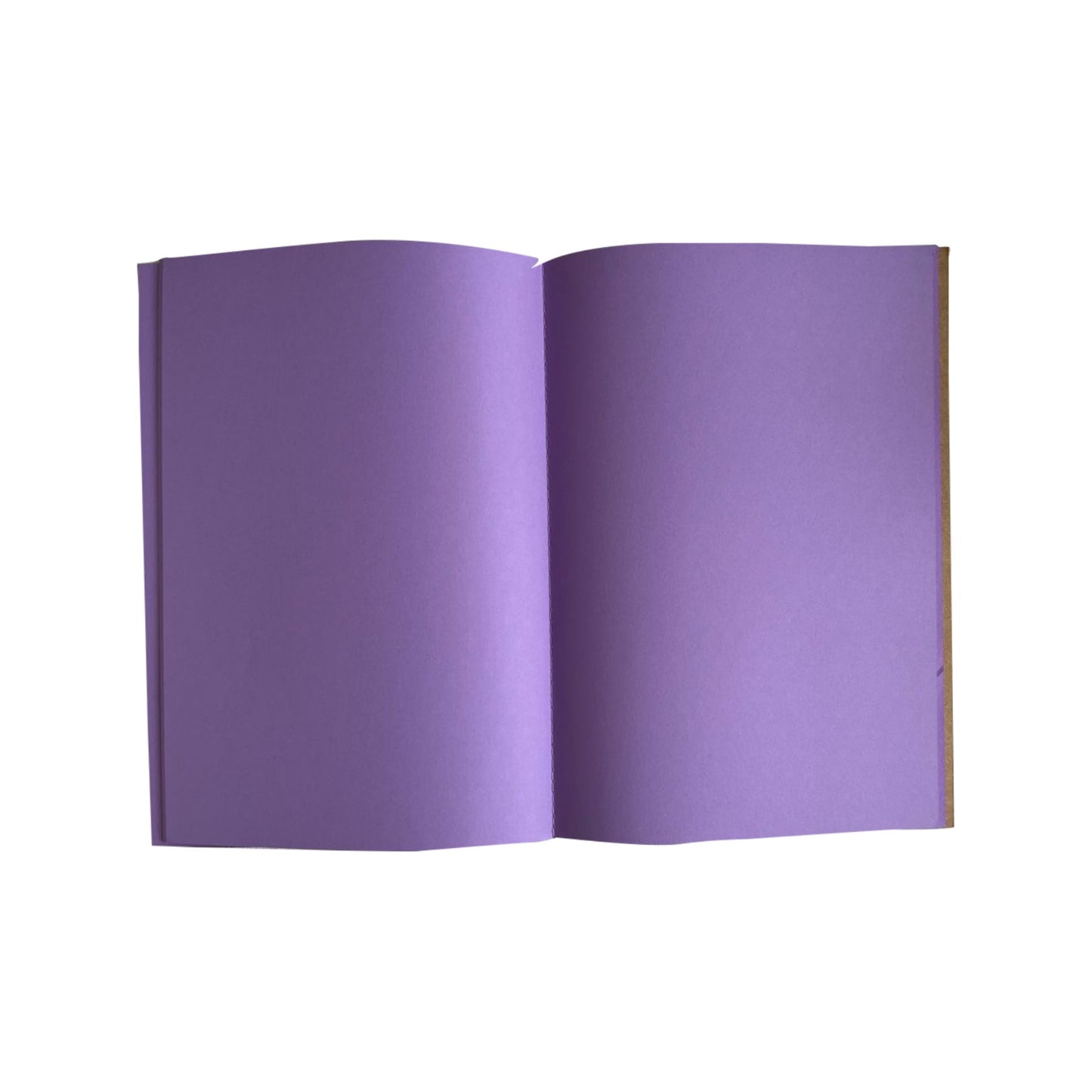 Vibrant Series - Purple Colour